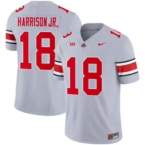 Men’s Ohio State Buckeyes Version 2023 Player Jersey – All Stitched