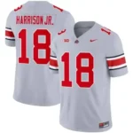 Men’s Ohio State Buckeyes Version 2023 Player Jersey – All Stitched