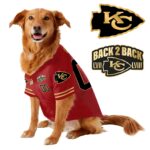 Chief Super Bowl Champions Pet Coat – Gifts for Pet Lovers