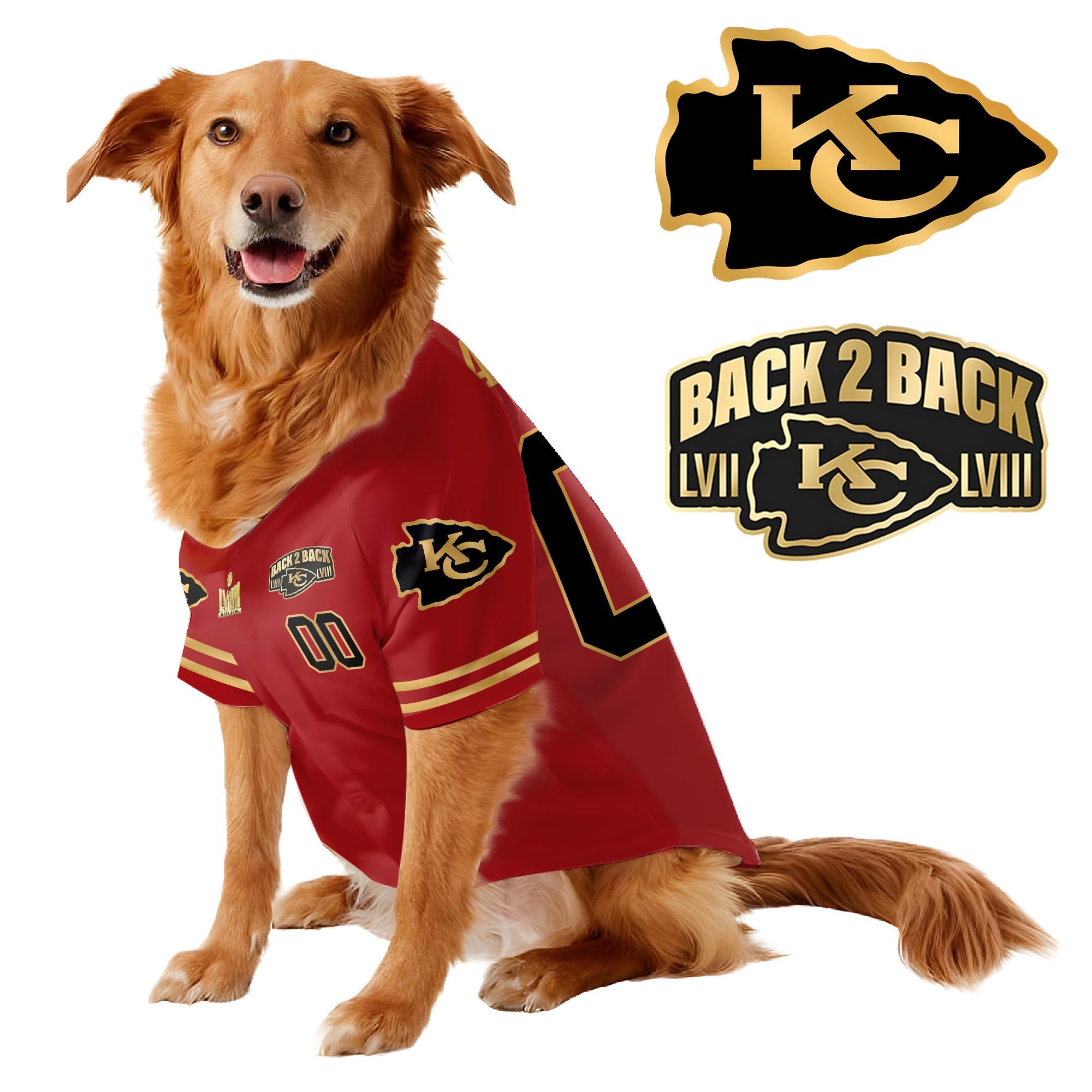 Chief Super Bowl Champions Pet Coat – Gifts for Pet Lovers