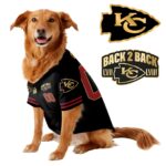 Chief Super Bowl Champions Pet Coat – Gifts for Pet Lovers