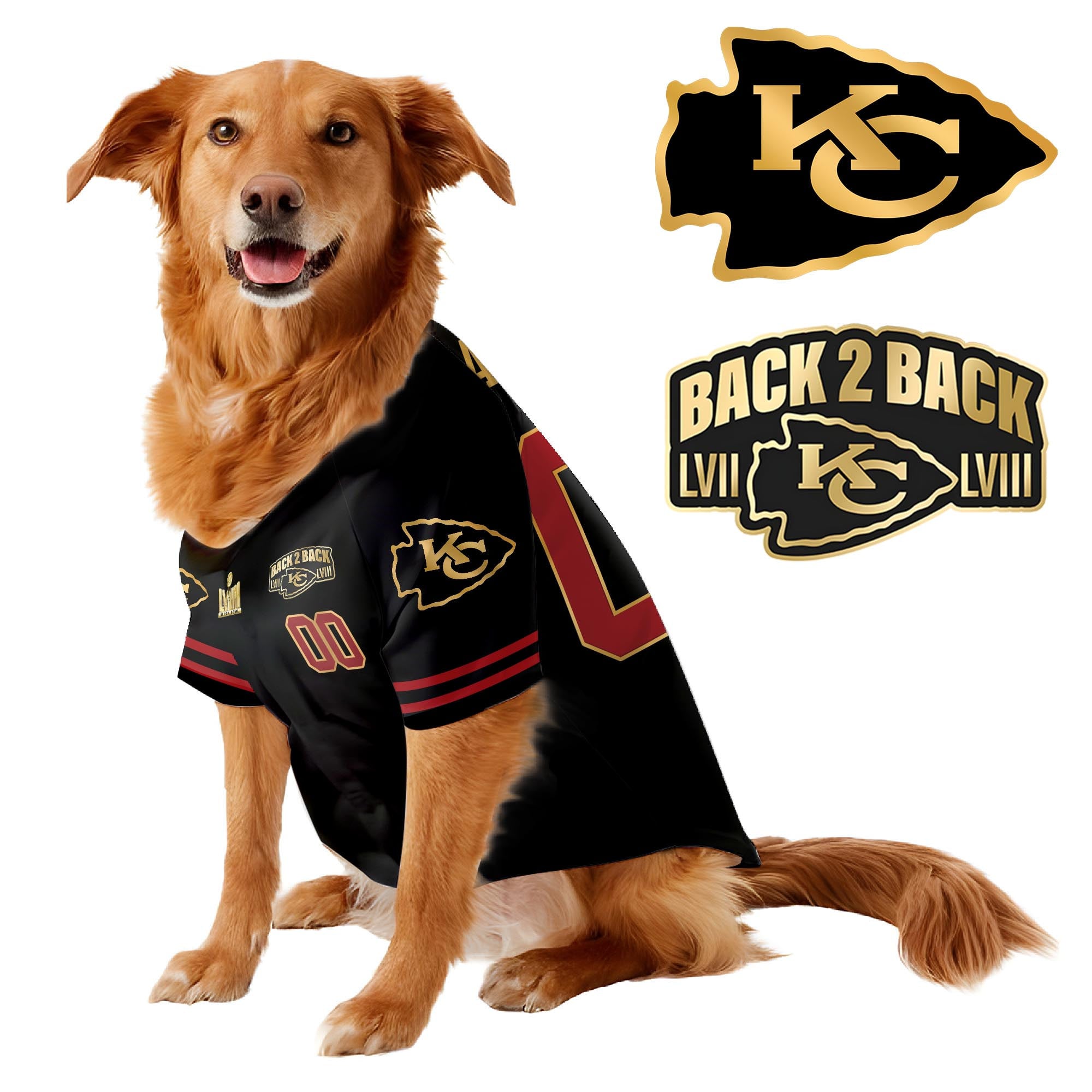 Chief Super Bowl Champions Pet Coat – Gifts for Pet Lovers