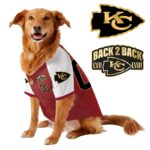 Chief Super Bowl Champions Pet Coat – Gifts for Pet Lovers