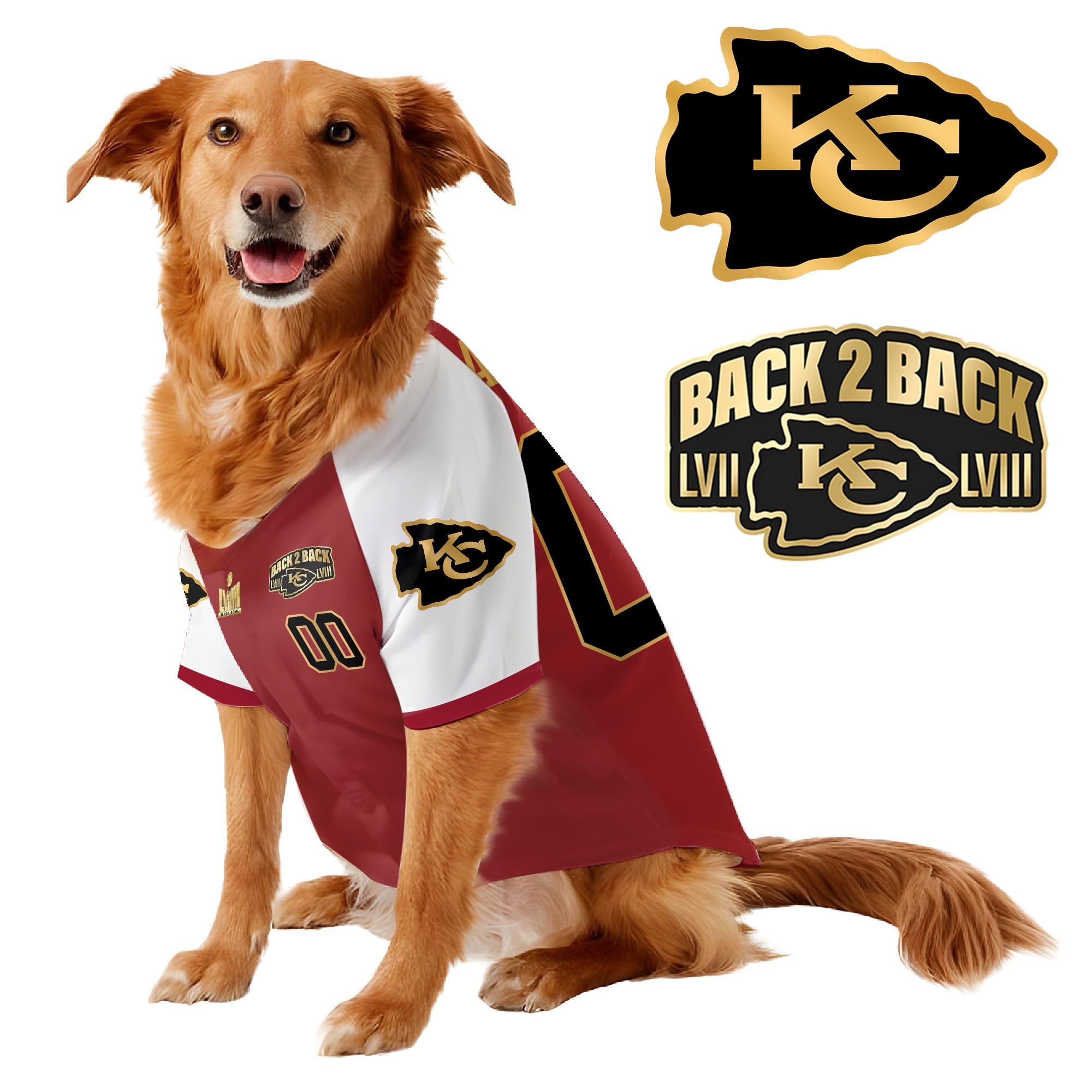 Chief Super Bowl Champions Pet Coat – Gifts for Pet Lovers