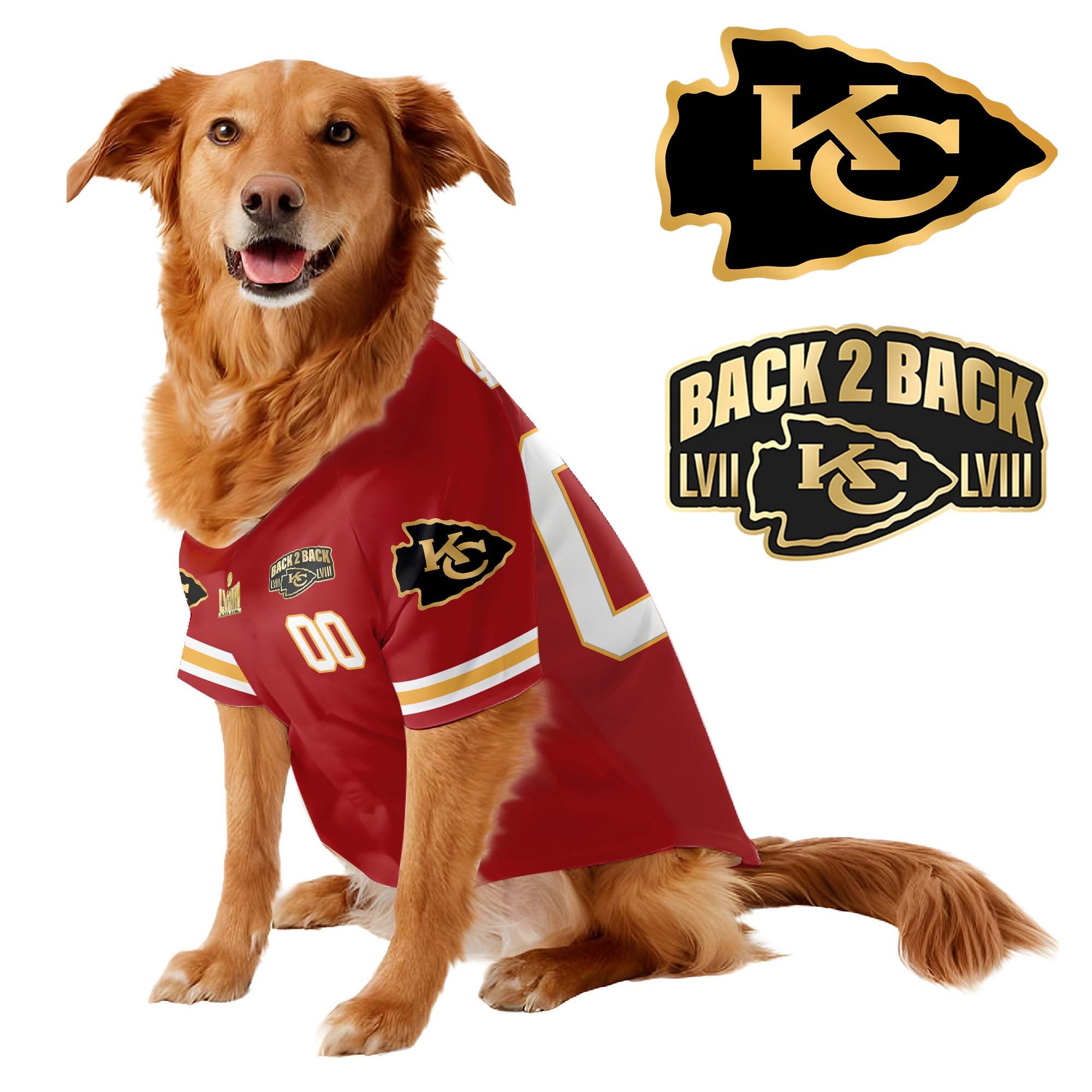 Chief Super Bowl Champions Pet Coat – Gifts for Pet Lovers