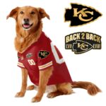 Chief Super Bowl Champions Pet Coat – Gifts for Pet Lovers