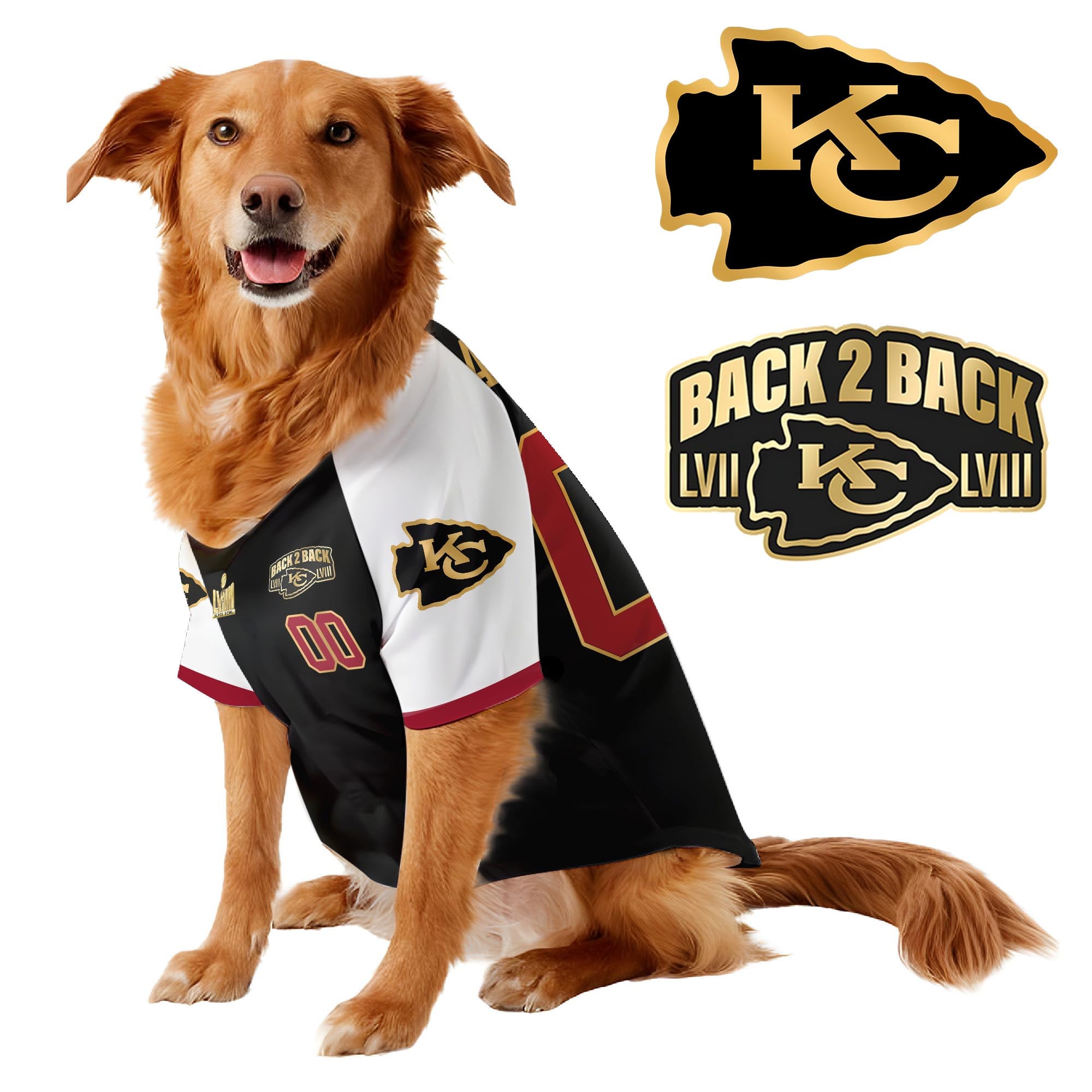 Chief Super Bowl Champions Pet Coat – Gifts for Pet Lovers
