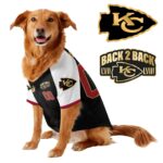 Chief Super Bowl Champions Pet Coat – Gifts for Pet Lovers