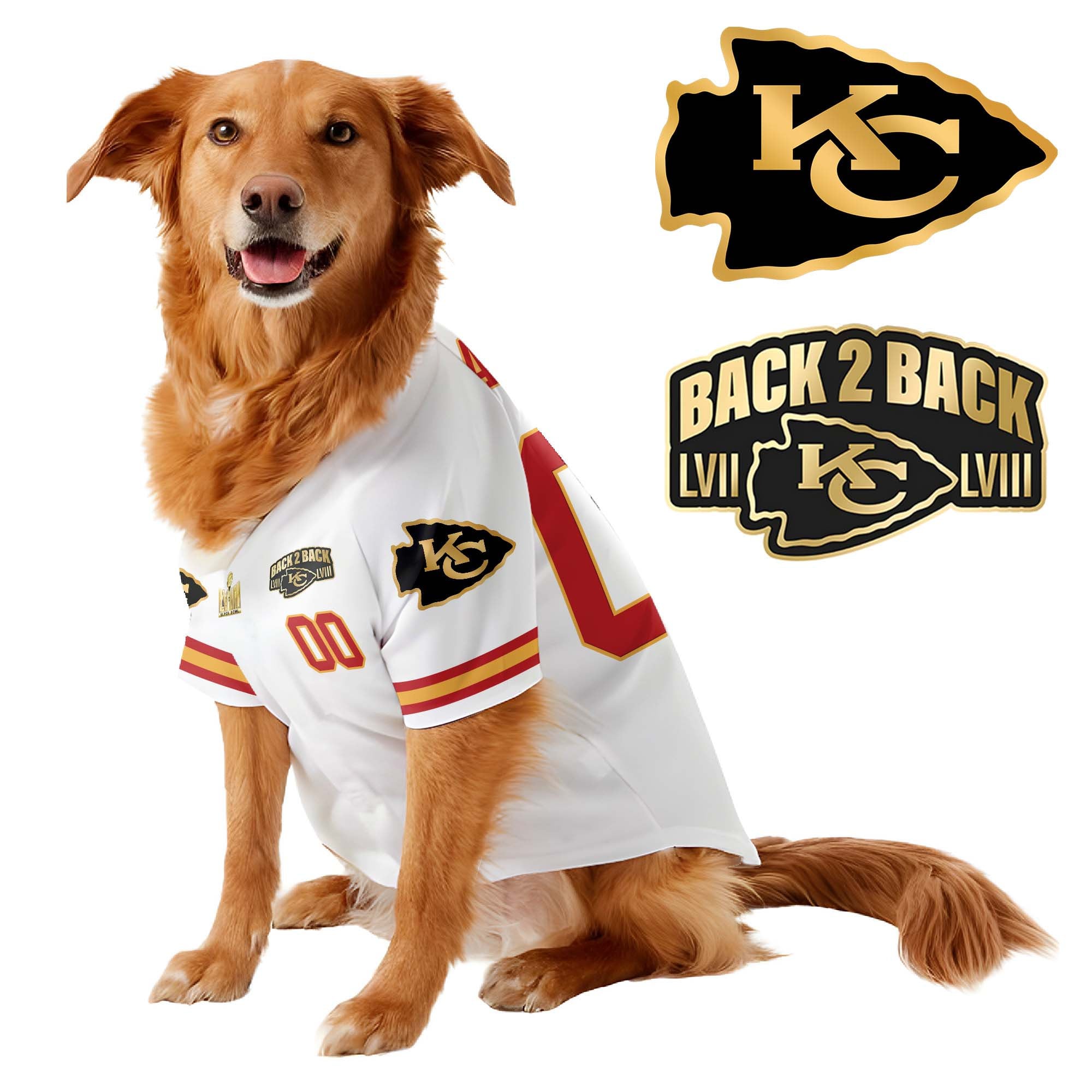 Chief Super Bowl Champions Pet Coat – Gifts for Pet Lovers