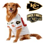 Chief Super Bowl Champions Pet Coat – Gifts for Pet Lovers